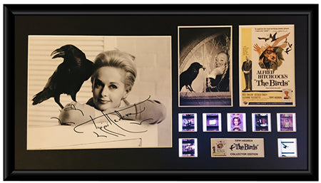 Birds, The (1963) - Autographed Film Cell Display (Tippi Hedren)