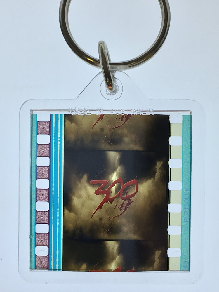 300 Keyring
