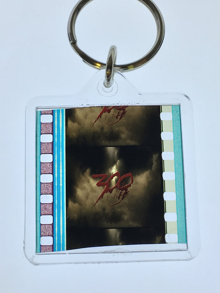 300 Keyring