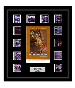 Any Which Way You Can (1980) - 12 Cell Classic Display