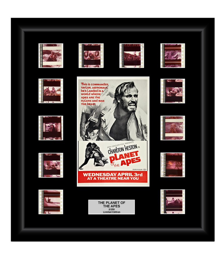 Planet of the Apes (1968) - 12 Cell Classic Display