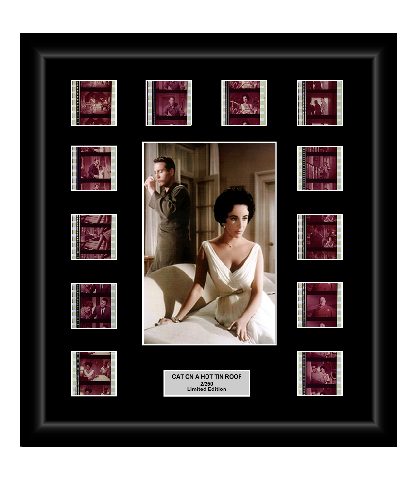 Cat on a Hot Tin Roof (1958)  - 12 Cell Classic Display