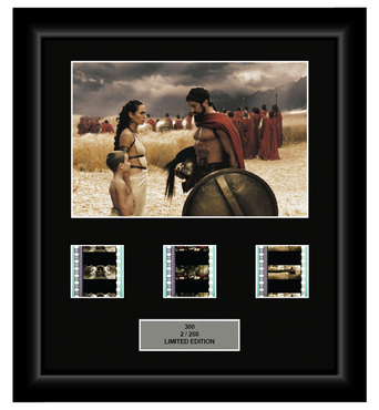 300 (2006) | 3 Cell Display