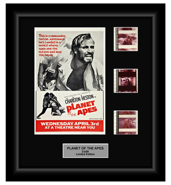 Planet of Apes (1968) - 3 Cell Classic Display