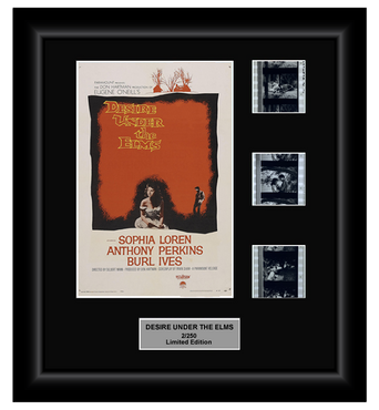 Desire Under the Elms (1958) - 3 Cell Classic Display