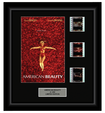 American Beauty (1999) - 3 Cell Display