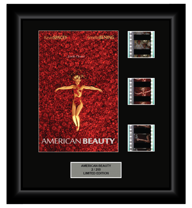 American Beauty (1999) - 3 Cell Display