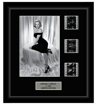 Asphalt Jungle (1950) - 3 Cell Classic Display