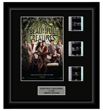 Beautiful Creatures (2013) - 3 Cell Display