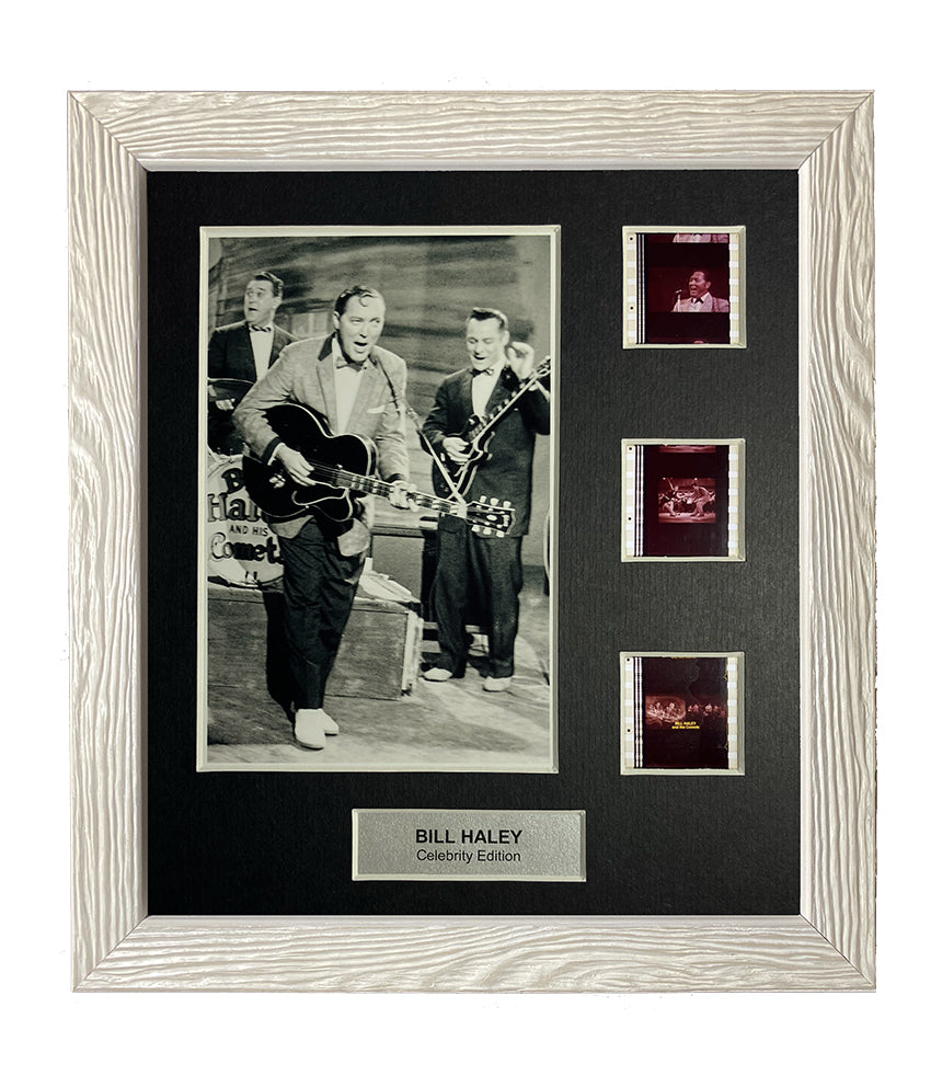 Bill Haley (Style 1) - 3 Cell Collector Edition Display