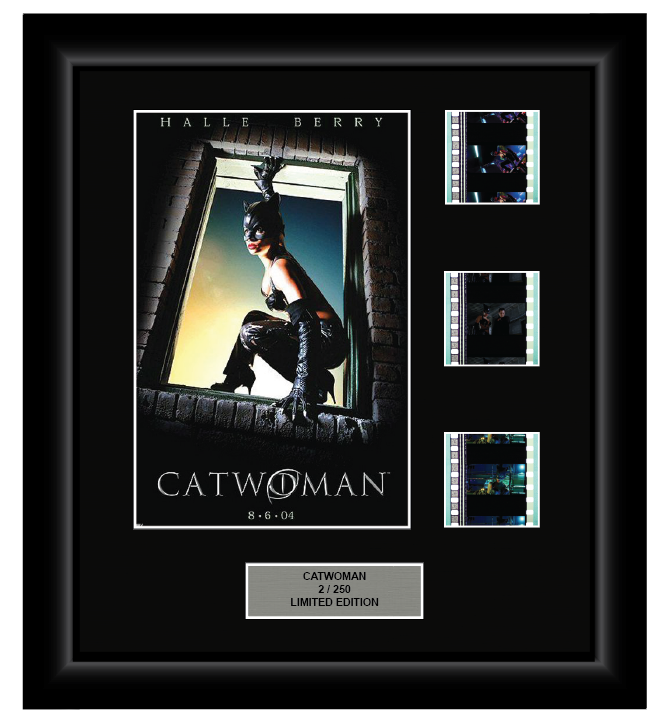Catwoman (2004) - 3 Cell Display