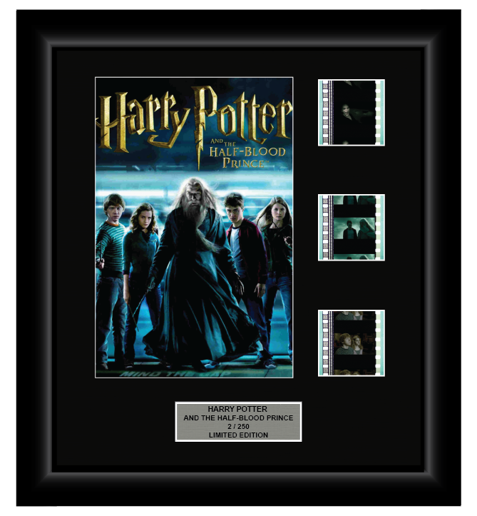 Harry Potter and the Half-Blood Prince (2009) - 3 Cell Display