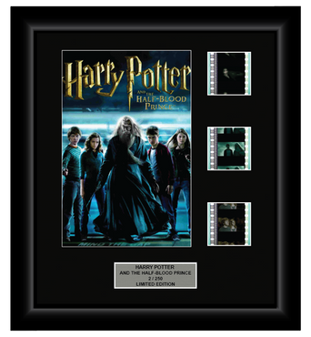 Harry Potter and the Half-Blood Prince (2009) - 3 Cell Display