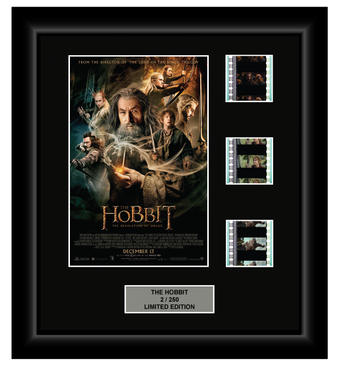 Hobbit: The Desolation of Smaug (2013) - 3 Cell Display