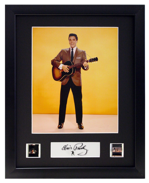 Elvis Presley - 2 Cell Display (3)