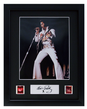 Elvis Presley - 2 Cell Display (6)