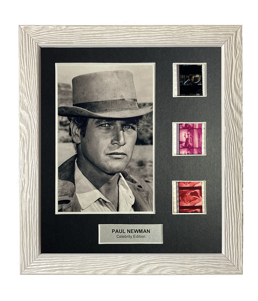 Paul Newman (Style 1) - 3 Cell Collector Edition Display