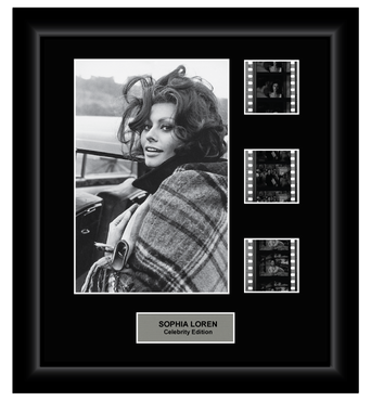 Sophia Loren Celebrity Edition - 3 Cell Display