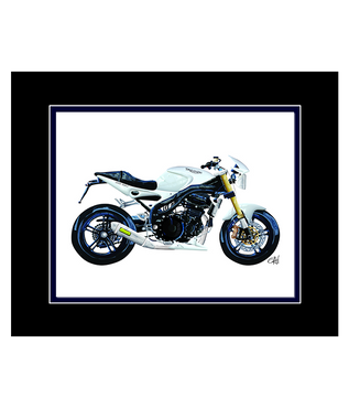 Triumph Speed Triple Modern Motorcycle | 8x10 Art Photo by Gav Barbey