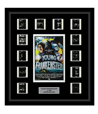 Young Frankenstein (1974) - 12 Cell Display