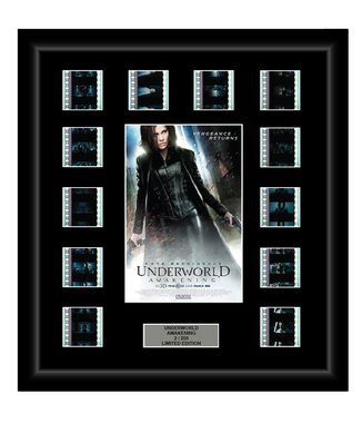 Underworld Awakening (2012) - 12 Cell Display