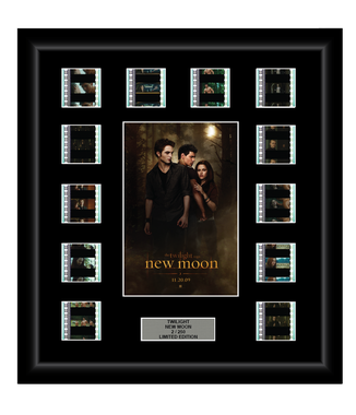 Twilight Saga: New Moon (2009) - 12 Cell Display