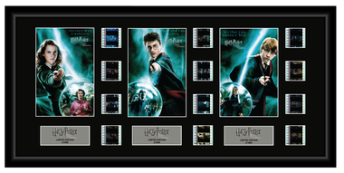 Harry Potter and the Order of the Phoenix- Triple 12 Cell Display