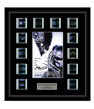 AVP: Alien vs. Predator (2004) - 12 Cell Display