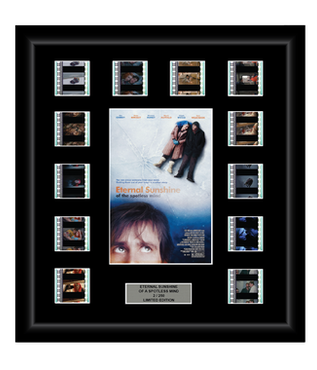 Eternal Sunshine of the Spotless Mind (2004) - 12 Cell Display