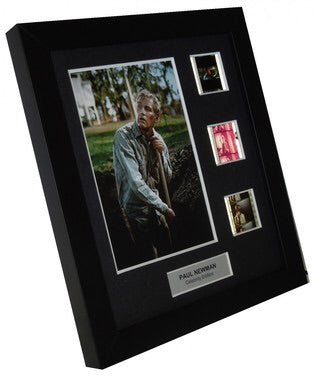 Paul Newman (Style 2) - 3 Cell Display - ONLY 1 AT THIS PRICE!