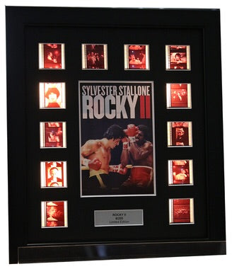 Rocky II - 12 Cell Display (1)