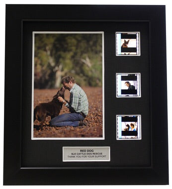 Red Dog (2011) - 3 Cell Display - SLK Charity