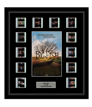 Big Fish (2003)  - 12 Cell Display