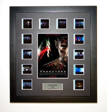 Predators - 12 Cell Display